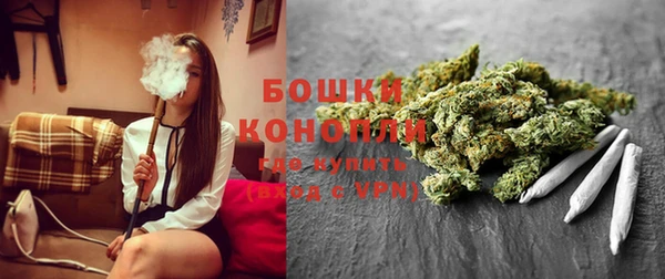 СК Аркадак