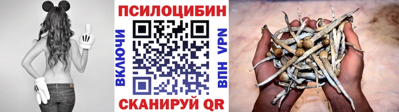 купить наркотики цена  Пересвет  Псилоцибиновые грибы мицелий 