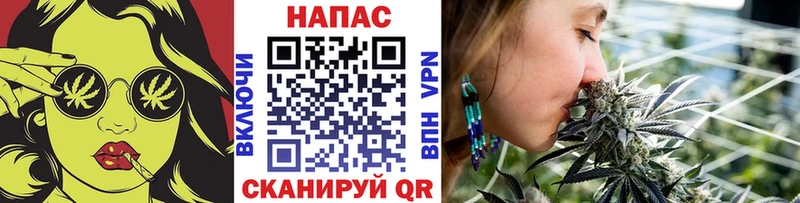 Бошки марихуана семена  Пересвет 